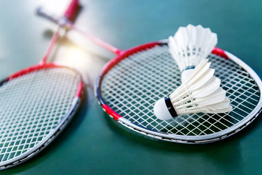 HGL Recreation 2 Player Badminton Set